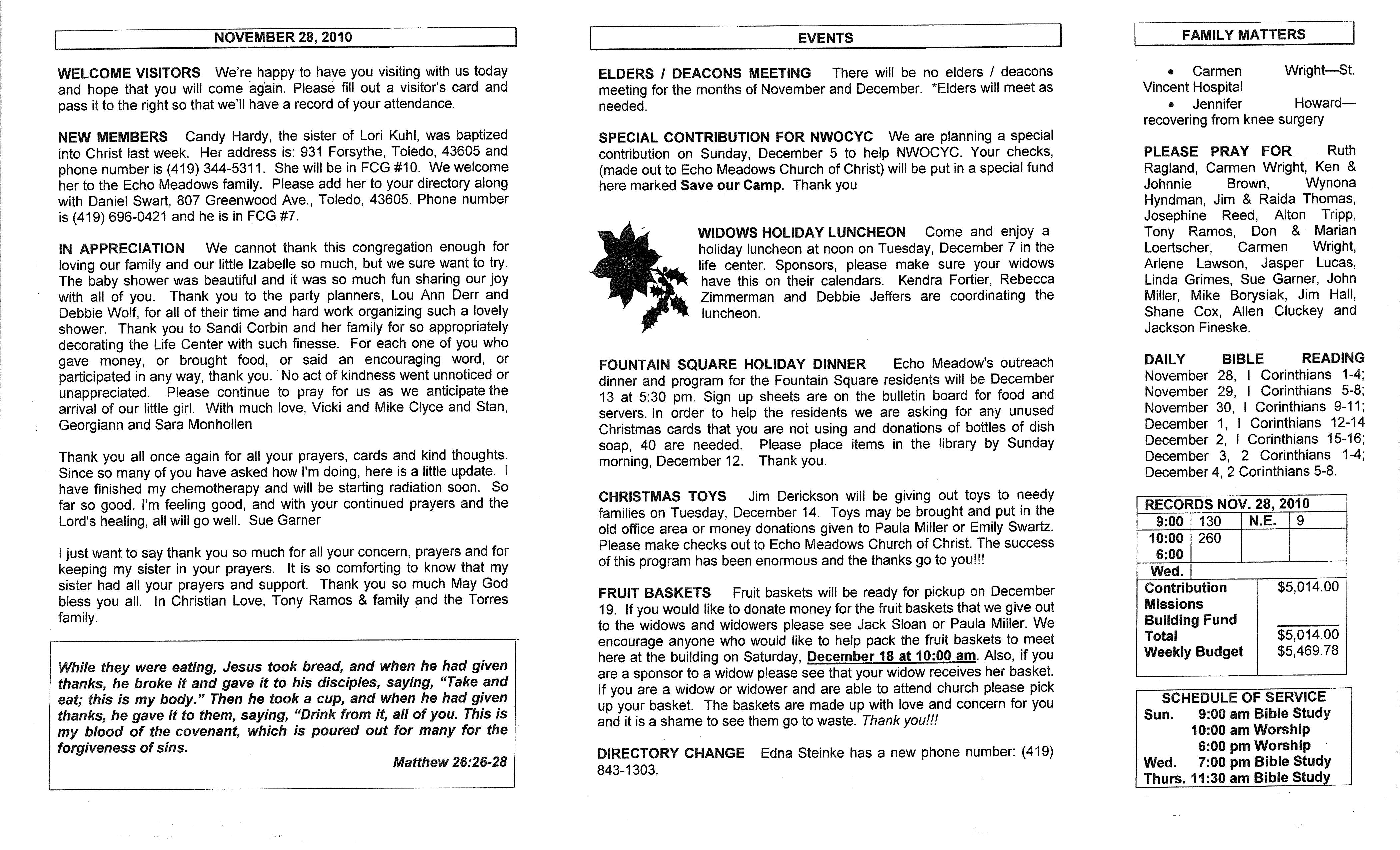 Scanned bulletin, page 1 of 2010-11-28.pdf